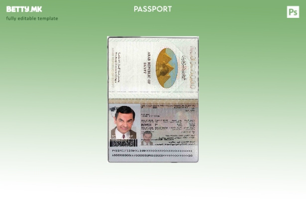 Шаблон за египетски пасош во модерен стил